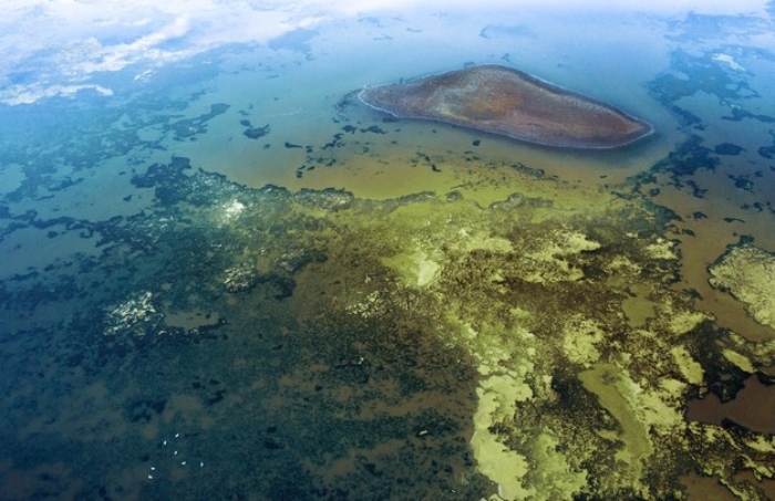 Algal bloom in a lake, a problem that could be reduced by geomembranes for agriculture